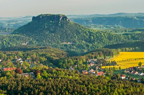 Sommerliche Natur — Stockfoto