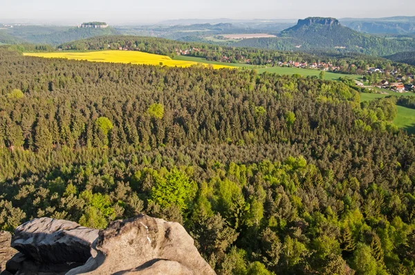 Sommerliche Natur — Stockfoto