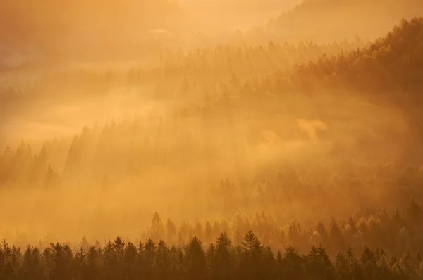 Mlžné svítání — Stock fotografie