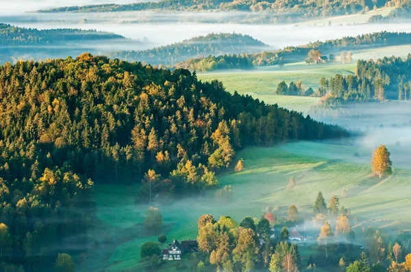 Mistige zonsopgang — Stockfoto