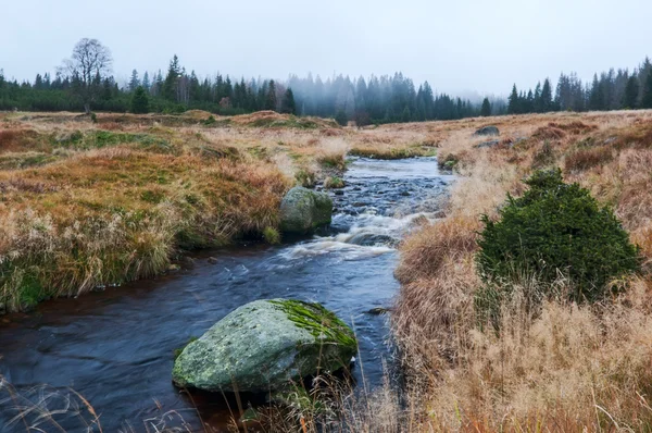 Herfst landschap — Stockfoto