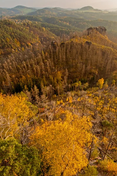 Осінній краєвид — стокове фото