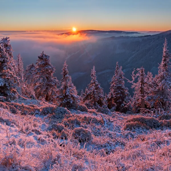 Paese delle meraviglie invernali — Foto Stock