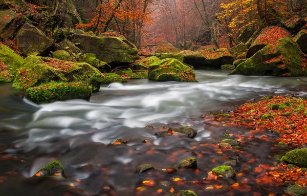 Arroyo de otoño — Foto de Stock