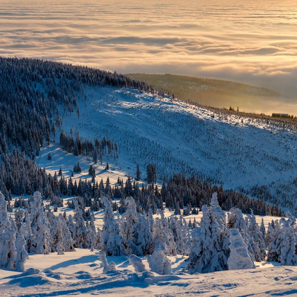 Paese delle meraviglie invernali — Foto Stock