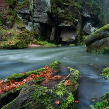 sonbahar creek