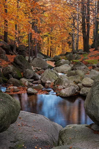 Herbstbach — Stockfoto