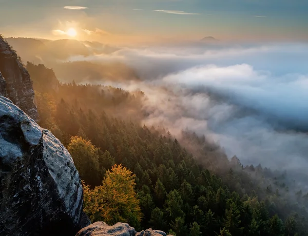 Mlžné svítání — Stock fotografie