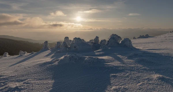 Paese delle meraviglie invernali — Foto Stock