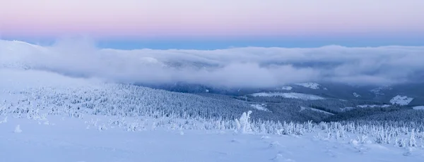 Paese delle meraviglie invernali — Foto Stock