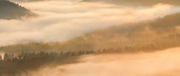 Nebliger Sonnenaufgang — Stockfoto