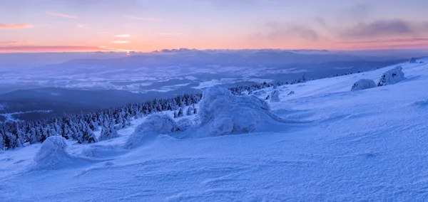 Paese delle meraviglie invernali — Foto Stock