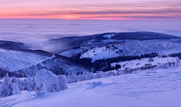 País das maravilhas do inverno — Fotografia de Stock