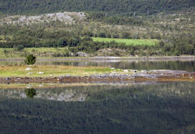 küçük adada ağaçlar