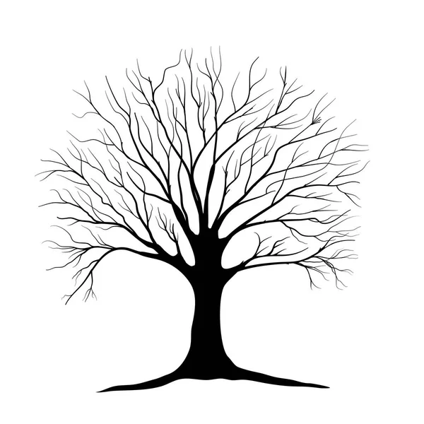 Black Branch Tree Naked Trees Root Silhouettes Hand Drawn Isolated — Stock Vector