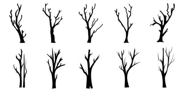 Установите Черные Ветки Деревьев Голые Деревья Силуэты Корней Иллюстрации Вручную — стоковый вектор