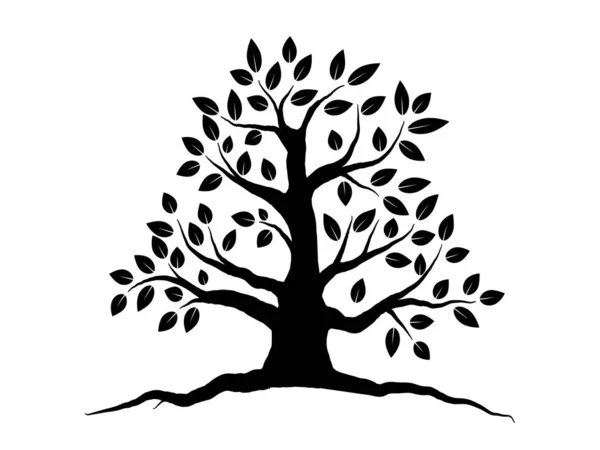 黑树和有叶子的树根看起来美丽而清新 Logo风格的树和根 — 图库矢量图片