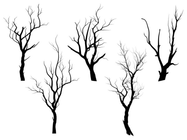 Set Black Branch Tree or Naked trees and root silhouettes. Hand drawn isolated illustrations.