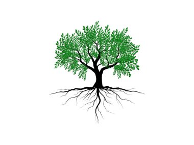 Yeşil yapraklı ağaç ve kökler güzel ve ferahlatıcı görünüyor. Ağaç ve kökler LOGO biçimi.
