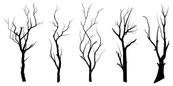 Svart Gren Träd Eller Nakna Träd Silhuetter Set Handritade Enskilda — Stock vektor