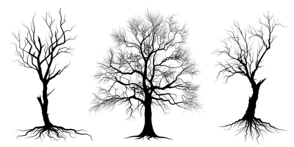 Установите Черные Ветки Деревьев Голые Деревья Силуэты Корней Иллюстрации Вручную — стоковый вектор