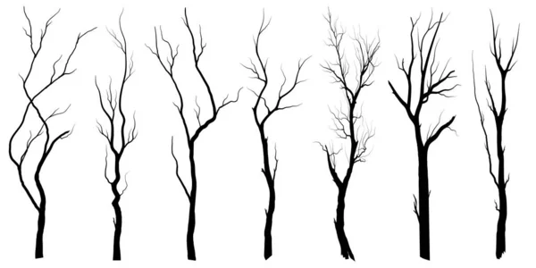 Definir Árvore Ramo Preto Árvores Nuas Silhuetas Ilustrações Isoladas Desenhadas — Vetor de Stock