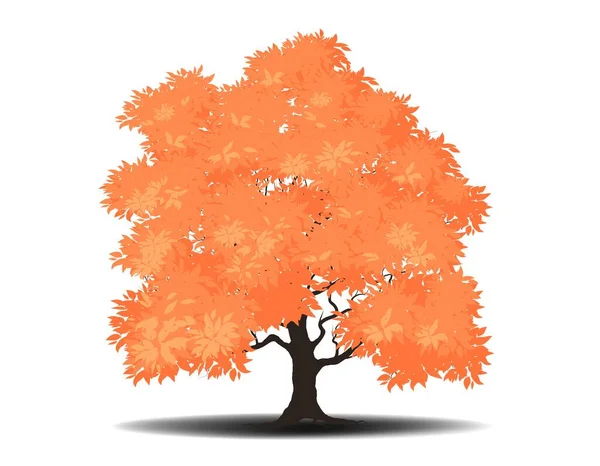 Árbol Grande Otoño Otoño Licencia Seca Rama Naturaleza Planta Vector — Vector de stock