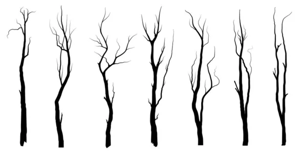 设置黑枝树或裸树的轮廓 手绘孤立的插图 — 图库矢量图片