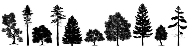Коллекция Силуэт Черное Дерево Символический Стиль Белый Фон Использована Вашей — стоковый вектор