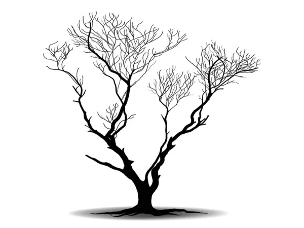 Black Branch Tree Naked Trees Silhouettes Hand Drawn Isolated Illustrations — Stock Vector