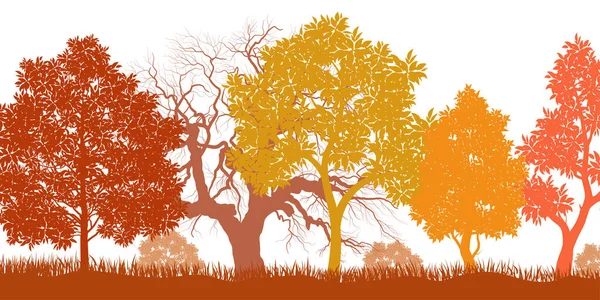 秋天的森林 树大树大木 秋干叶及自然分枝植物病媒图解 — 图库矢量图片