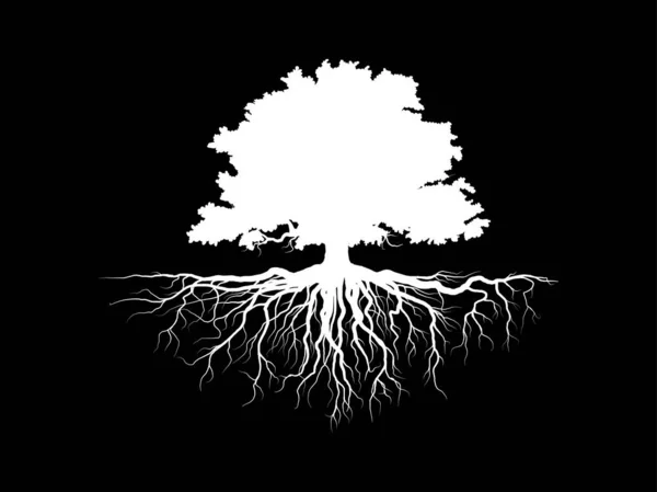 Yapraklı beyaz ağaç güzel ve ferahlatıcı görünüyor. Ağaç ve kökler LOGO biçimi.