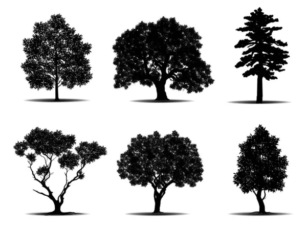 Sammlung Isolierter Baum Symbol Silhouette Stil Auf Weißem Hintergrund Kann — Stockvektor