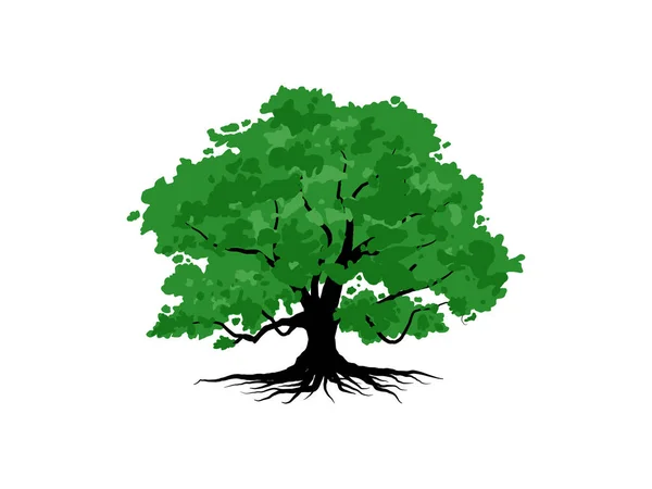 Дерево Корни Зелеными Листьями Выглядят Красиво Освежающе Логотип Дерева Корней — стоковый вектор