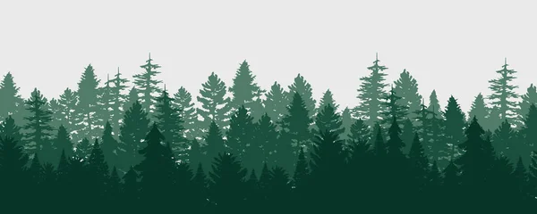 Хвойные Зимние Леса Фон Природа Пейзаж Сосна Ель Елка Туман — стоковый вектор