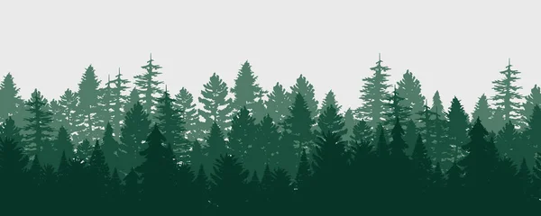 Fondo Del Bosque Invernal Coníferas Naturaleza Paisaje Pino Abeto Árbol — Vector de stock