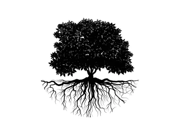 Дерево Кореневий Силует Ізольовані Білому Тлі — стоковий вектор