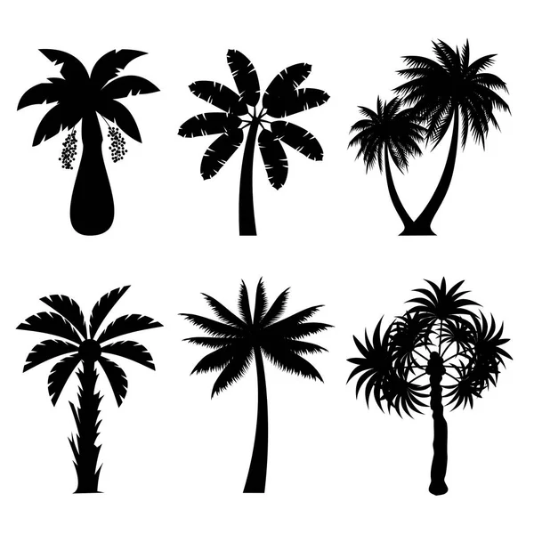 Collection Black Coconut Trees Icon Can Used Illustrate Any Nature — Stock Vector