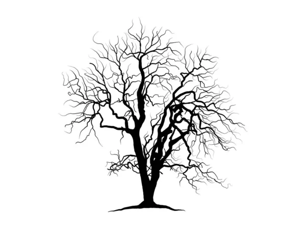 Black Branch Tree Naked Trees Silhouettes White Background Hand Drawn — Stock Vector