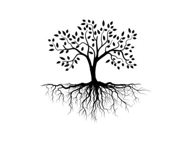 Beyaz arka planda izole edilmiş ağaç ve kök silueti. Ağaç ve kökler LOGO biçimi.