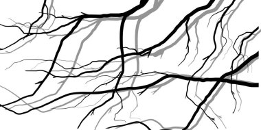 Kara Dal Ağacı ya da Çıplak Ağaç siluetleri. El çizimi izole çizimler.