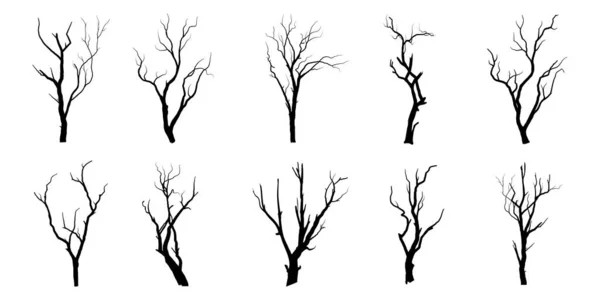 Arbre Branches Noires Silhouettes Arbres Nus Illustrations Isolées Dessinées Main — Image vectorielle