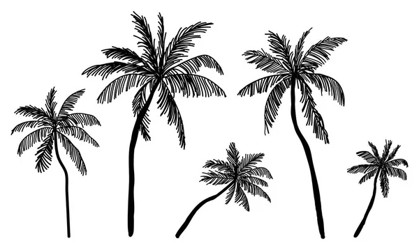 Kolekce Černých Kokosových Stromů Ikona Lze Použít Pro Ilustraci Jakékoliv — Stockový vektor