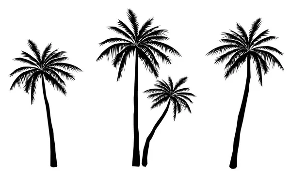 Collection Black Coconut Trees Icon Can Used Illustrate Any Nature — Stock Vector