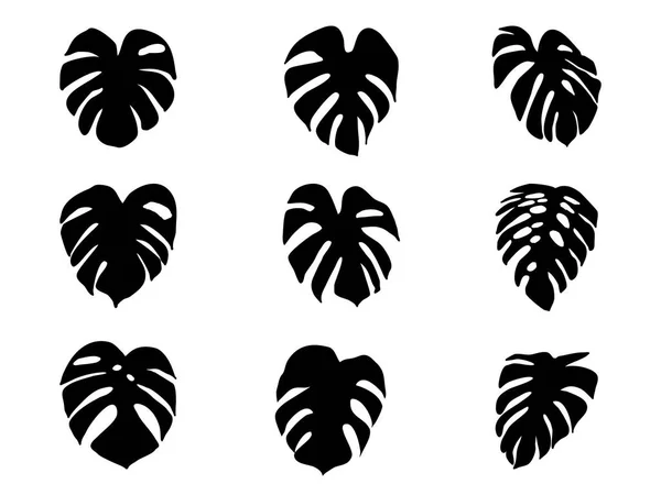 Collection Leaves Plant Silhouette Style Nature White Background Hand Drawn — Stock vektor