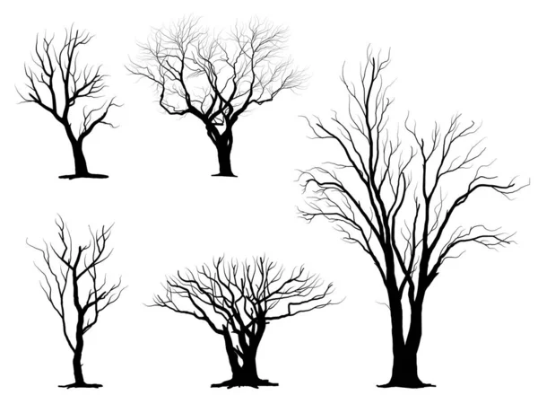 Black Branch Tree Naked Trees Silhouettes Set Hand Drawn Isolated — Stock Vector