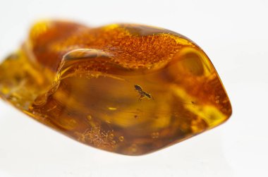 Kehribar ve donmuş böcek makrosu.