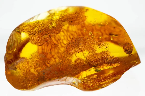 Bir parça kehribar makro.