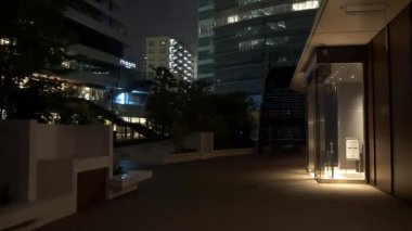 Tokyo Suları 2021 Mayıs 'ta gece görüşünü aldı.