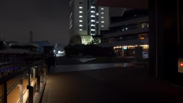 Tokio Aguas Takeshiba Vista Nocturna 2021 Mayo — Vídeos de Stock